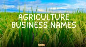 agriculture business names