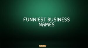 funniest business names