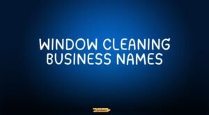 window cleaning business names
